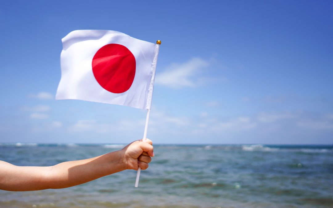 Surrogate Manager Alyssa shared her surrogacy insights with a researcher in Japan